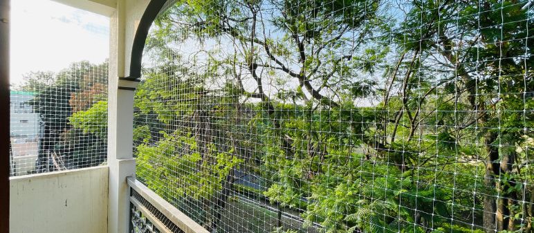 Bird Net Installation Services