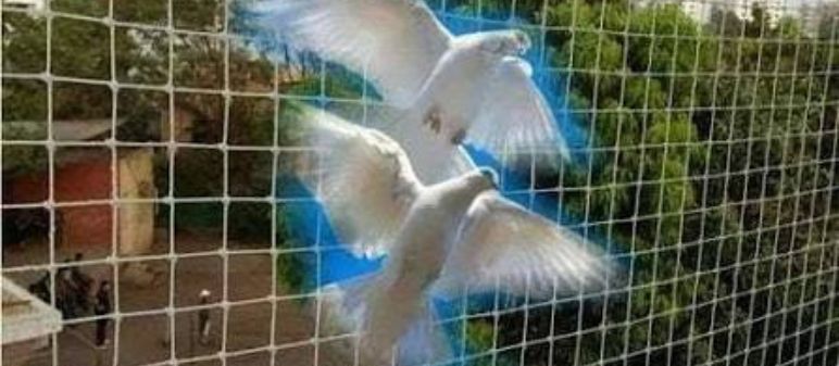 Pigeon Nets for Balconies