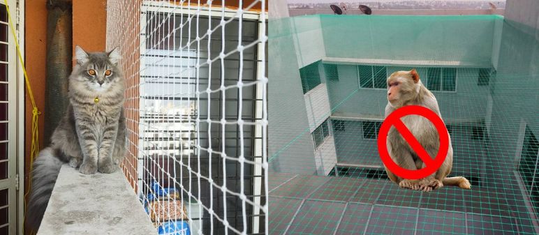 Pet Safety Nets