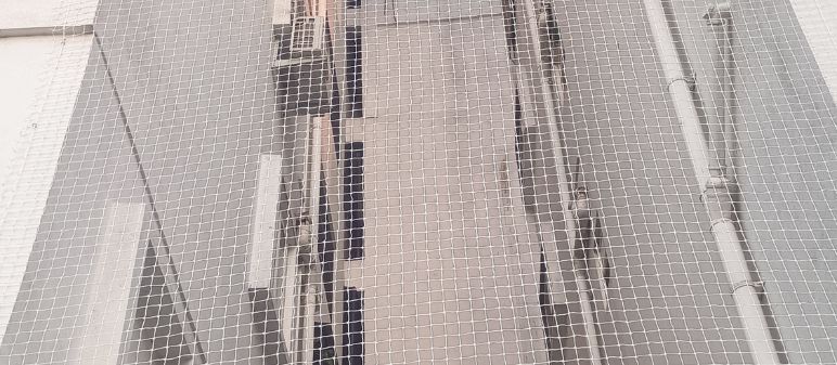 Commercial Bird Control Solutions